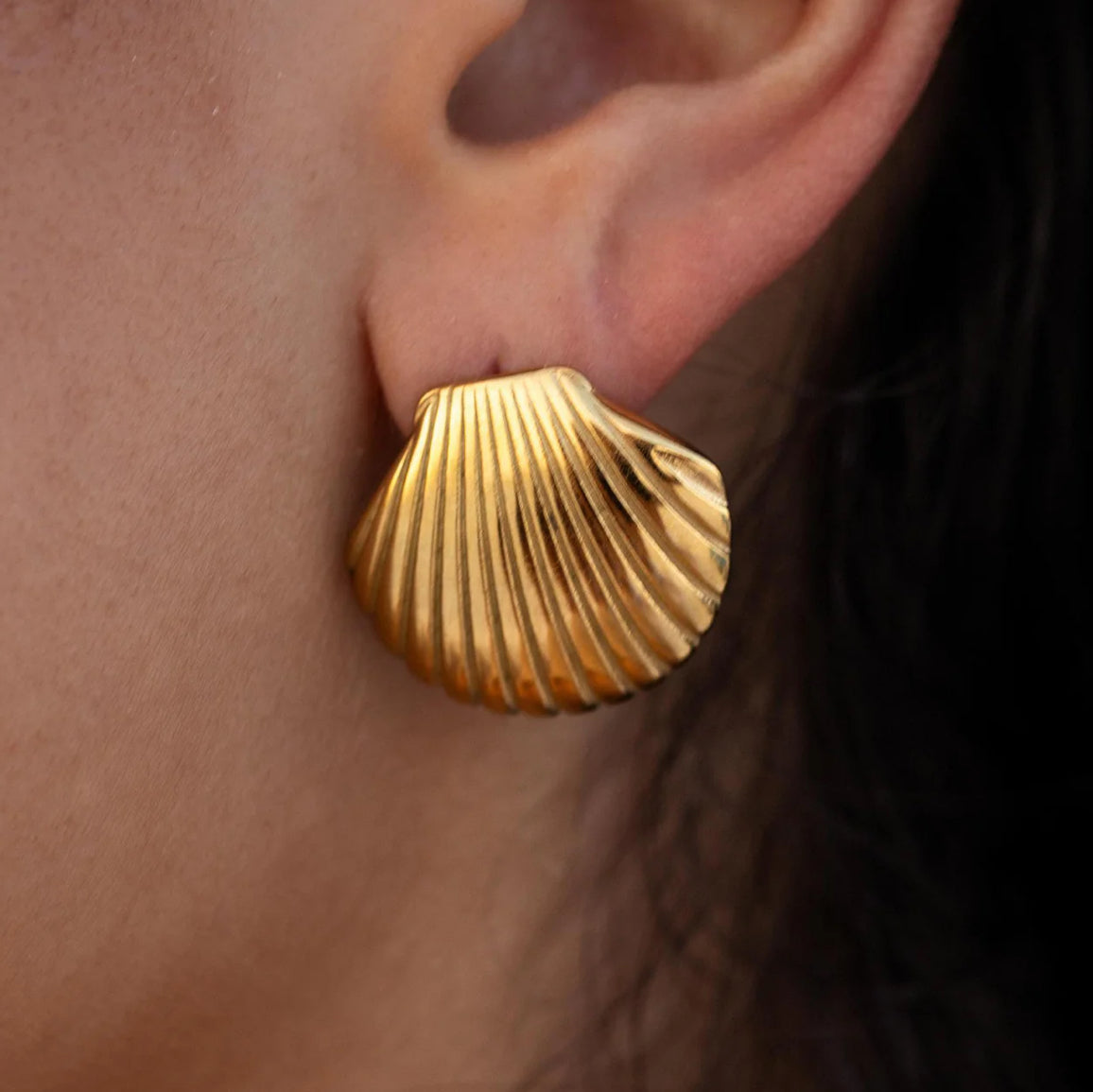 Seashell Earrings