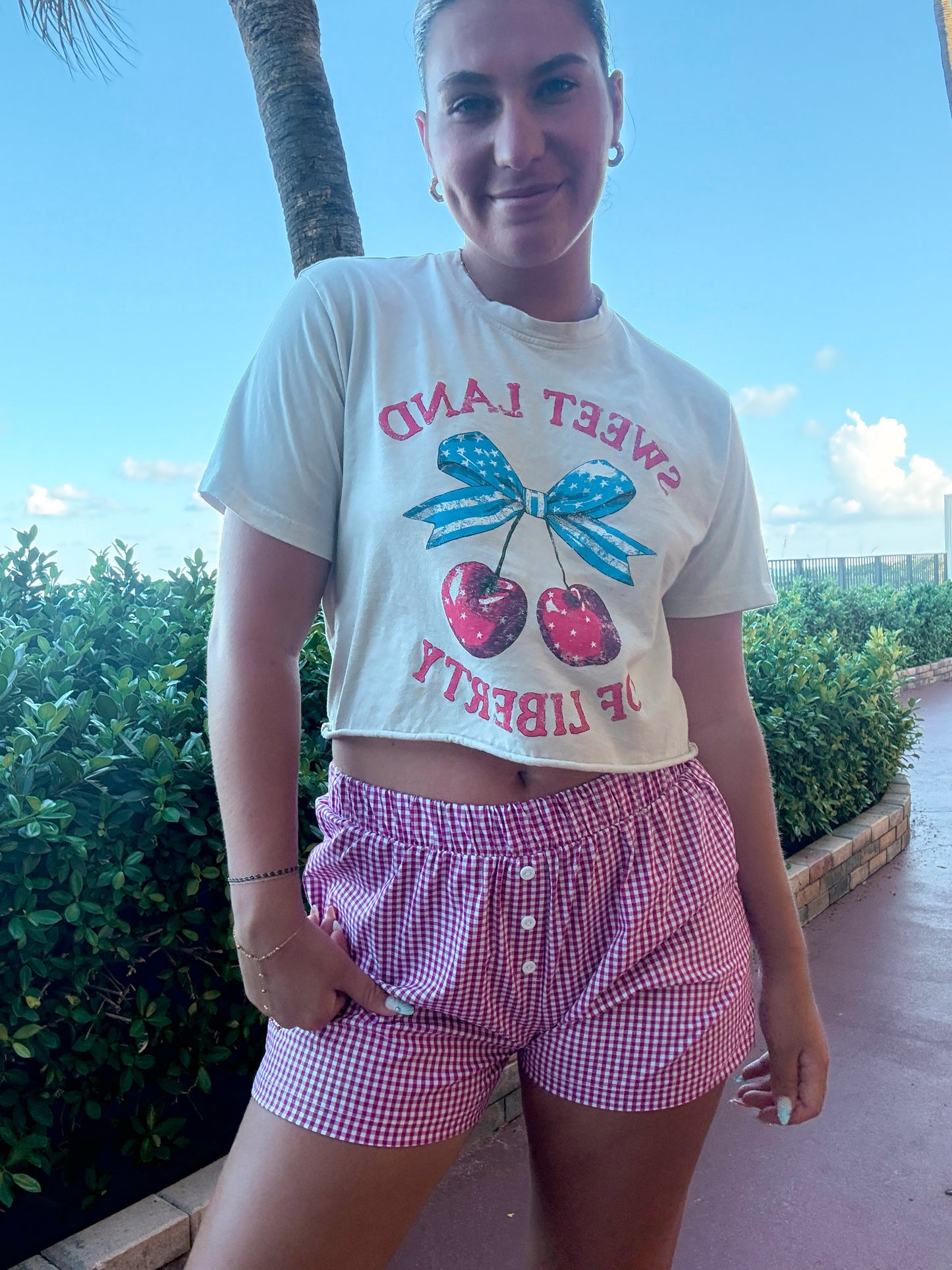 Gingham Boxer Shorts